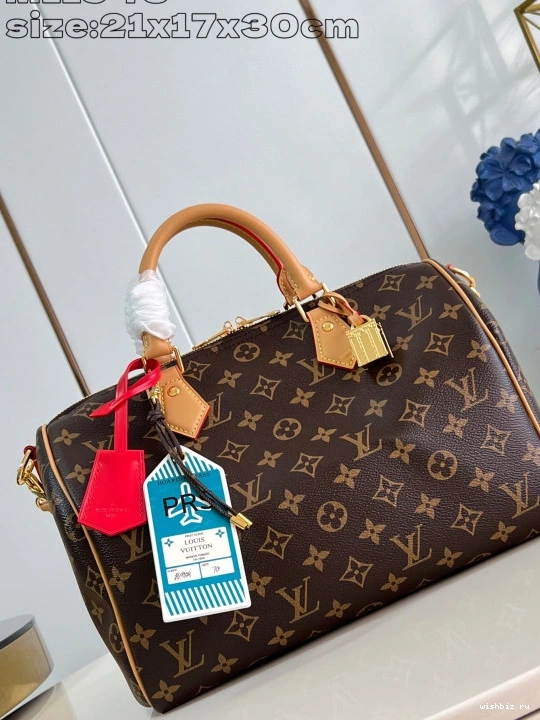 WIS Speedy 30 Vuitton Louis Soft Crafty 0211